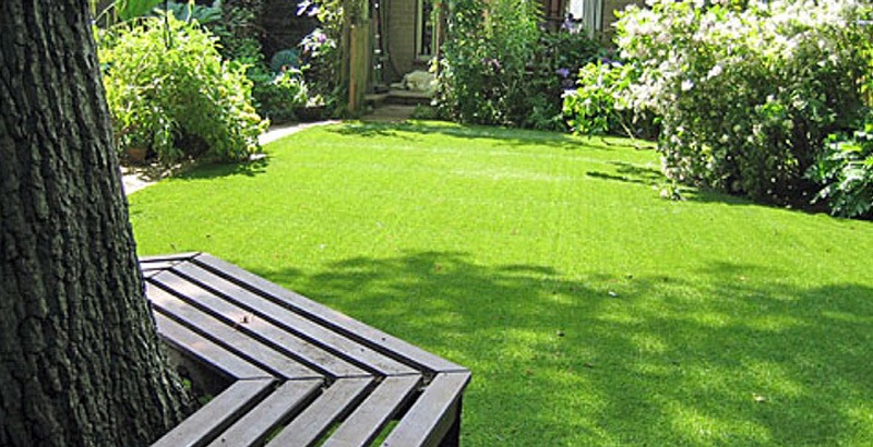 Quy trình bảo dưỡng và chăm sóc cỏ nhân tạo đúng kỹ thuật