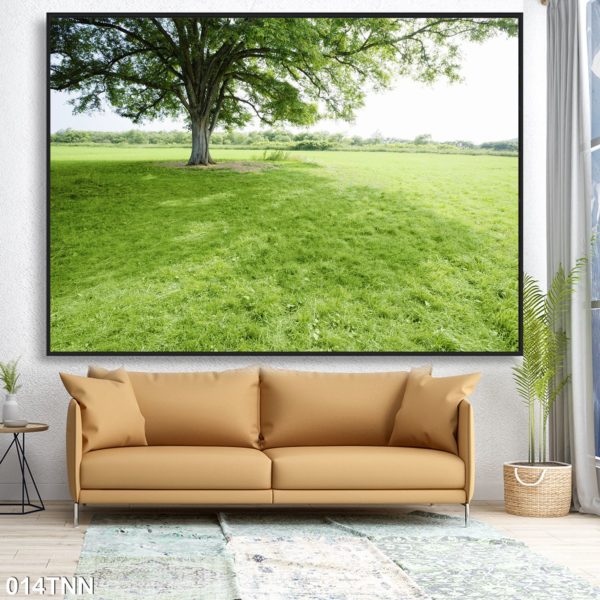 Thiết kế tranh gạch 3d-5d phong cảnh thiên nhiên ốp tường phòng khách, ngoài trời đẹp nhất